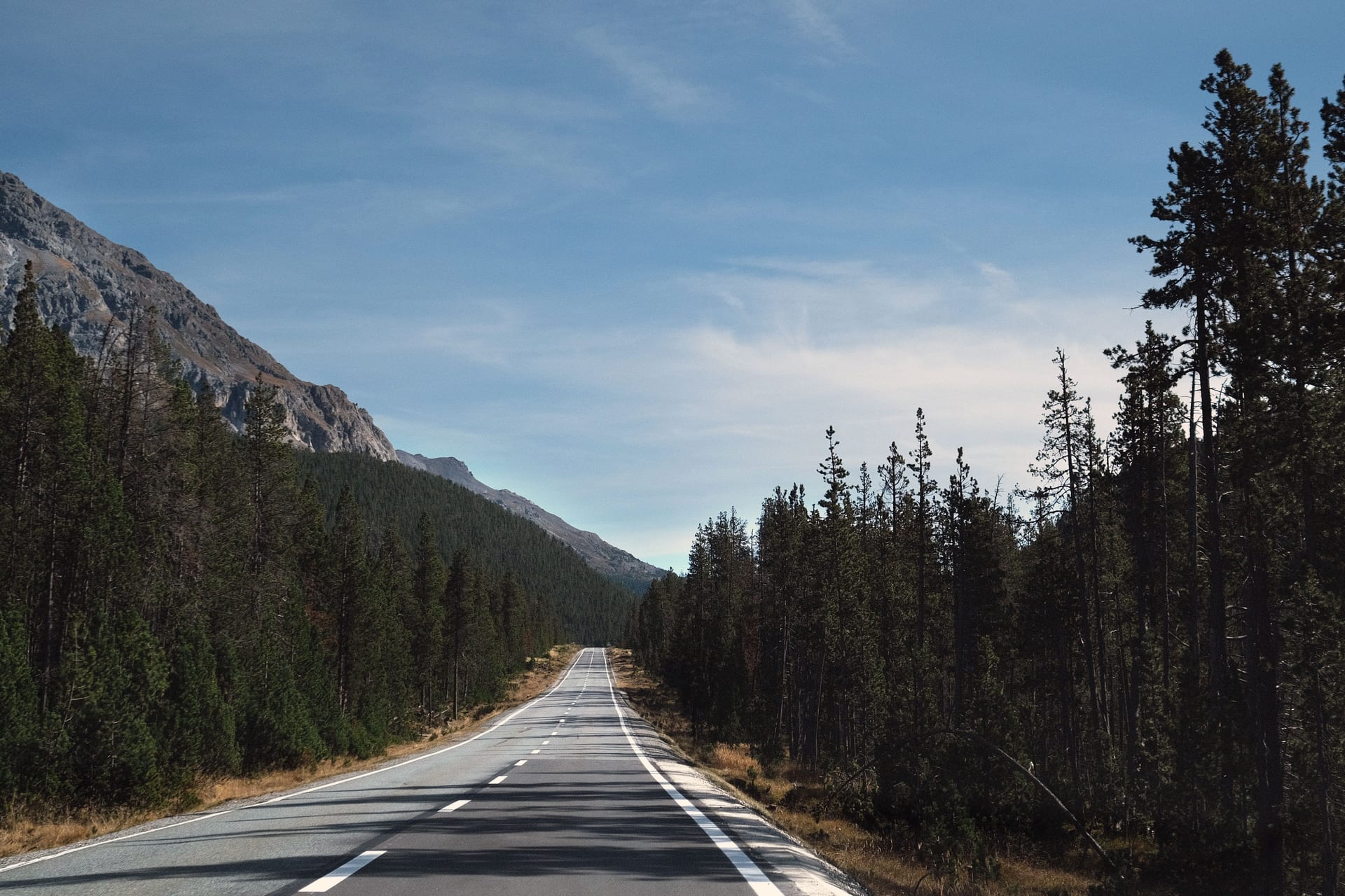 Route sinueuse à travers une forêt de conifères enneigée dans les Alpes grisonnes, près d'Albula/Alvra