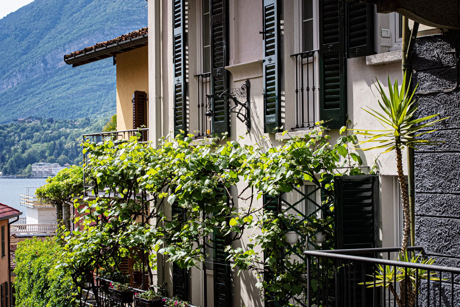 A balcony with green shutters and a climbing vine, the lake visible behind it in Bellagio
