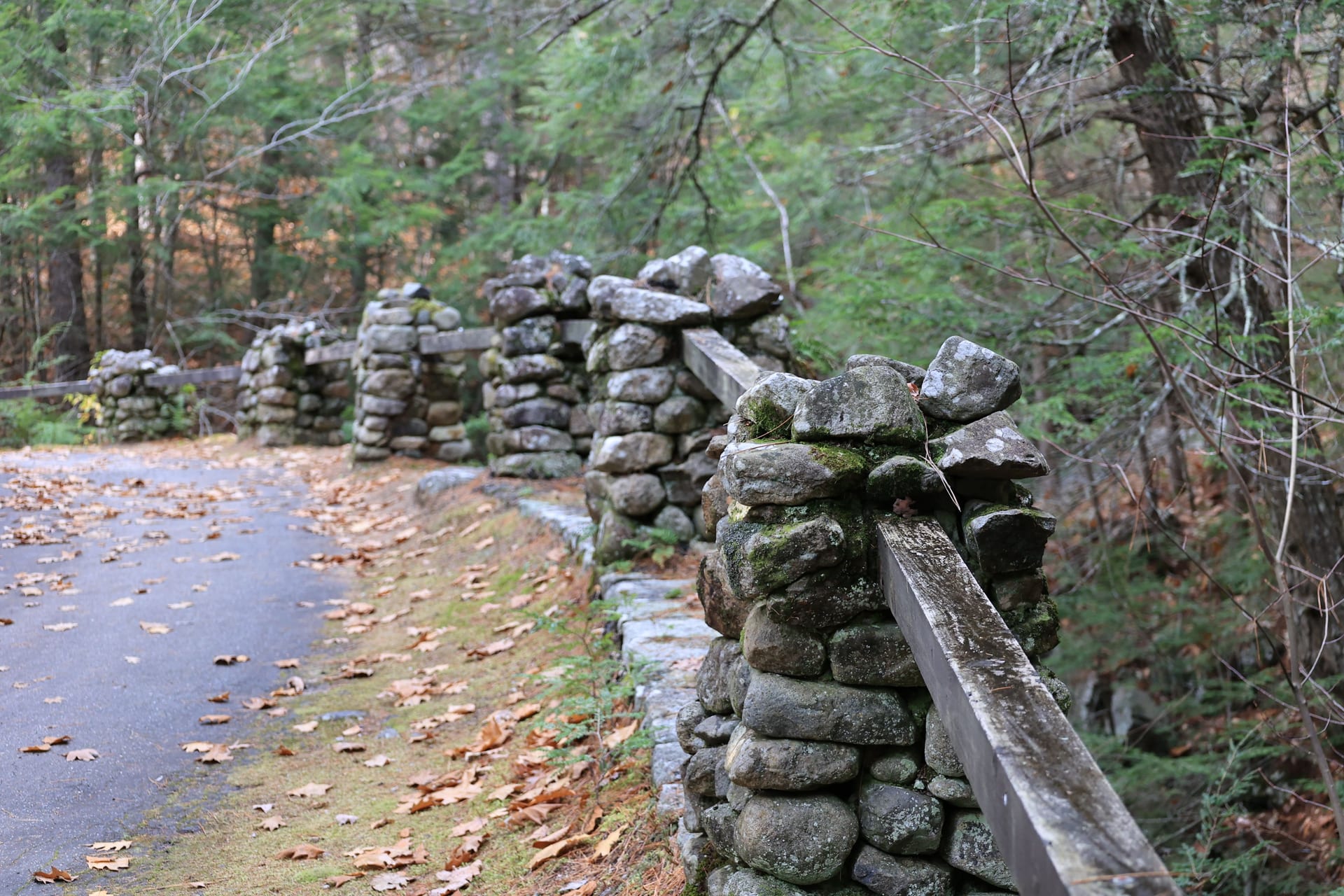 A woodland path in autumn, with a dry stone wall and fallen leaves