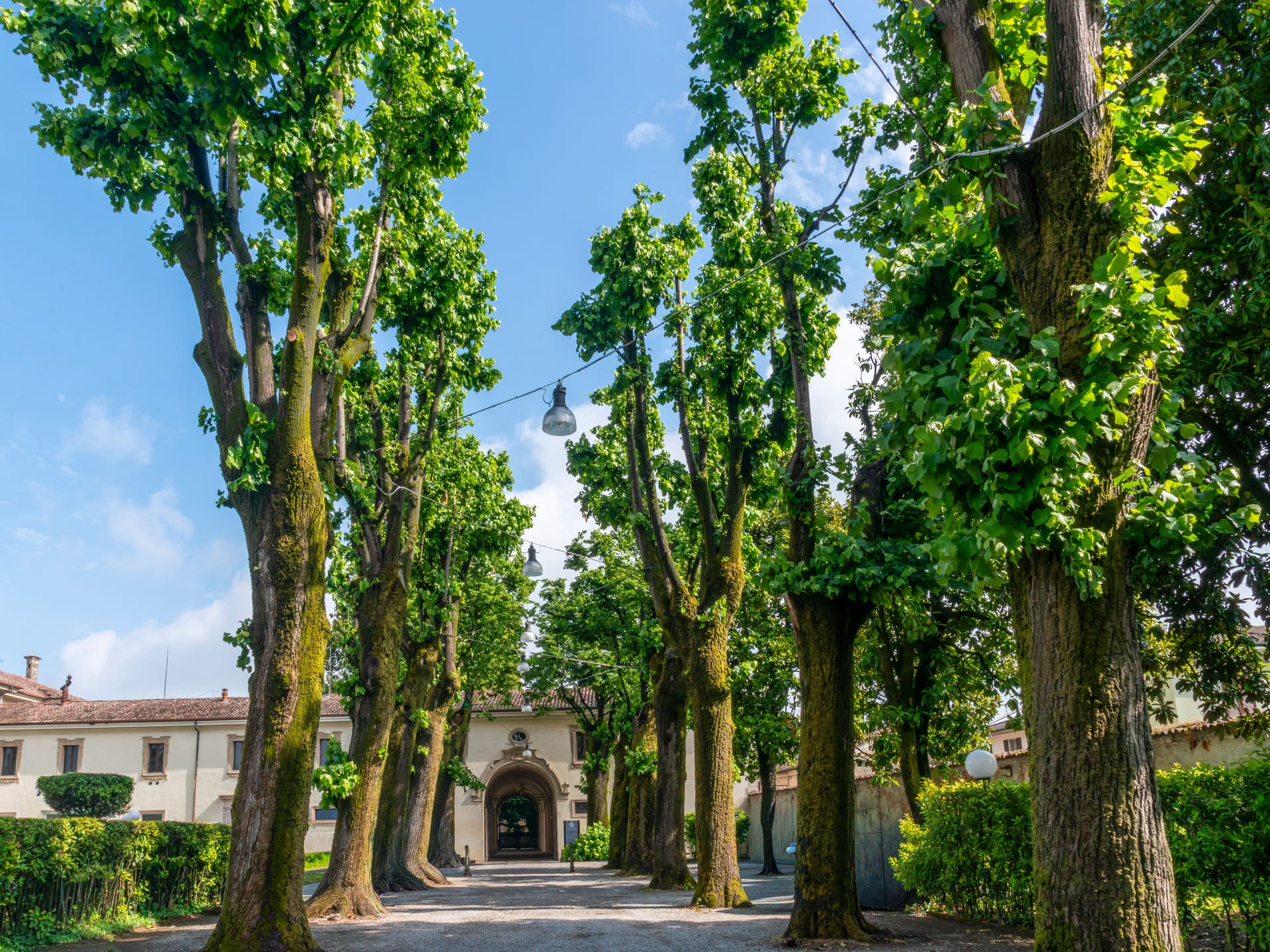 Un viale alberato che porta all’ingresso di una casa